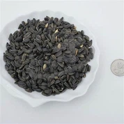 Madáreledel napraforgómag